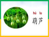 二上14.我要的是葫芦课件