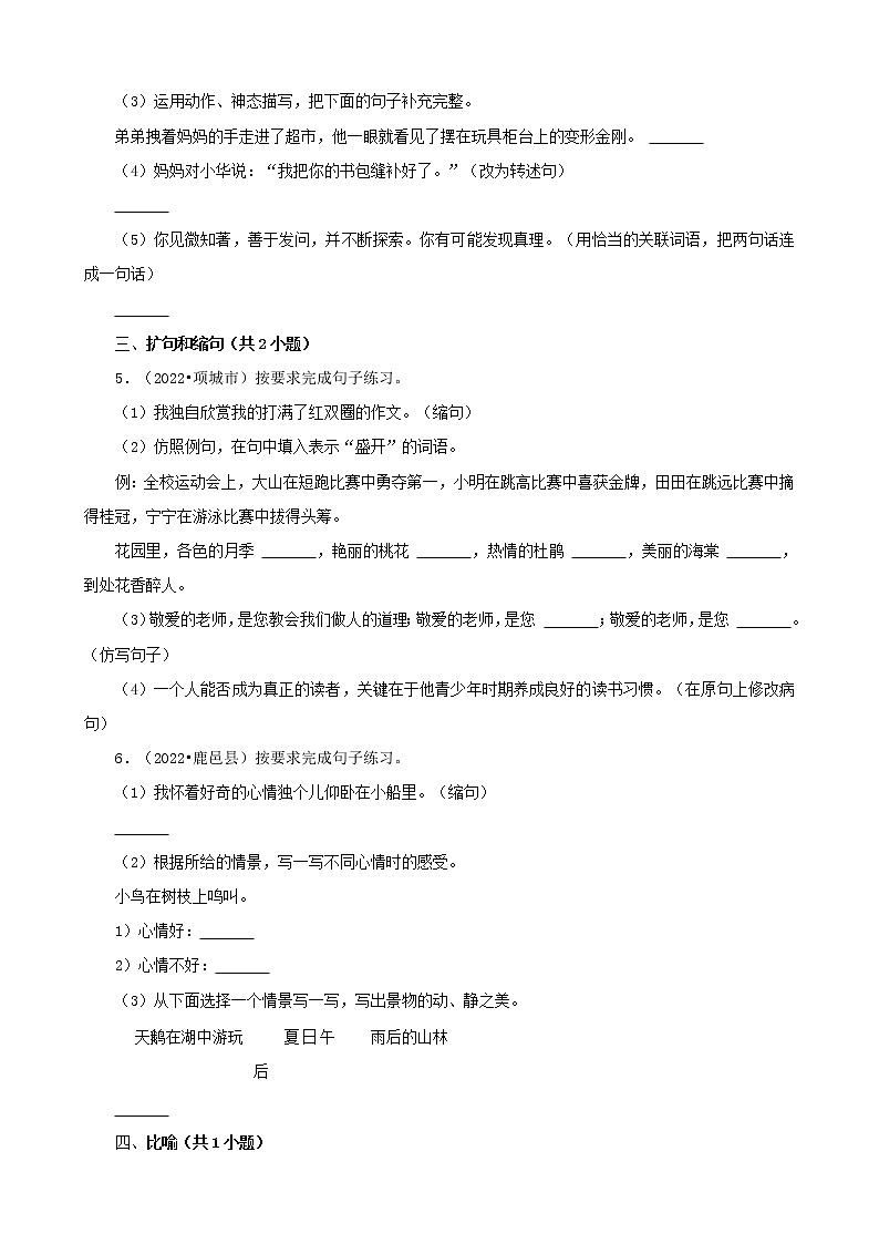 河南省周口市三年（2020-2022）小升初语文卷真题分题型分层汇编-03句子02