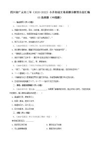 四川省广元市三年（2020-2022）小升初语文卷真题分题型分层汇编-03选择题（中档题）