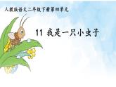 二下11 我是一只小虫子课件