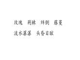 六下6 骑鹅旅行记（节选）课件
