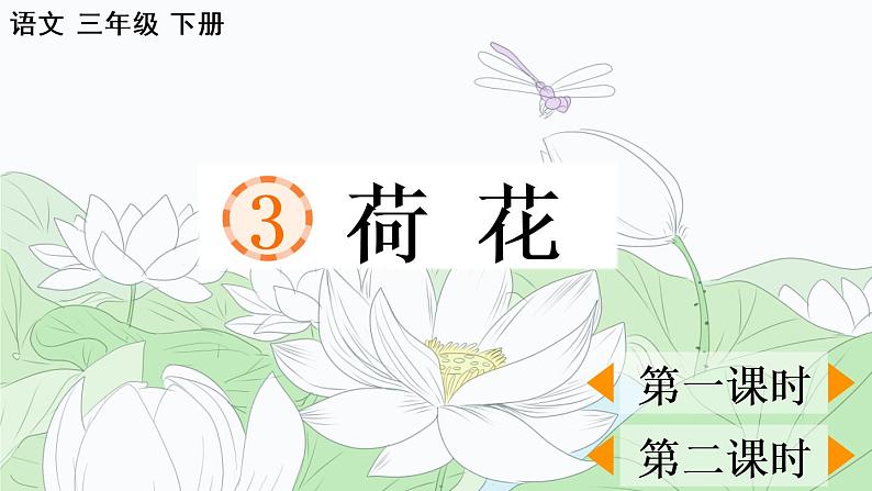 三下3 荷花课件01