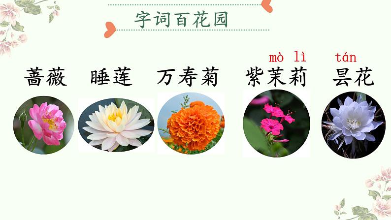 三下13《花钟》课件第7页