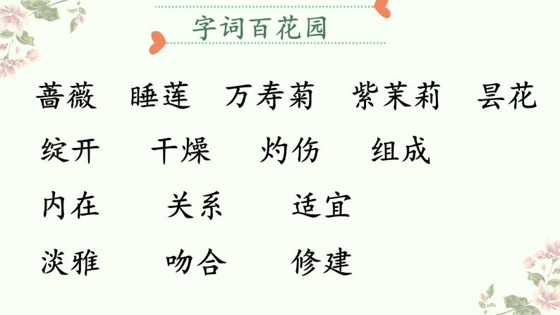 三下13《花钟》课件010