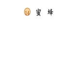 三下14 蜜蜂课件