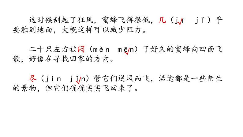 三下14 蜜蜂课件第5页