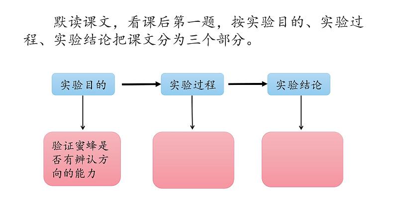 三下14 蜜蜂课件第6页