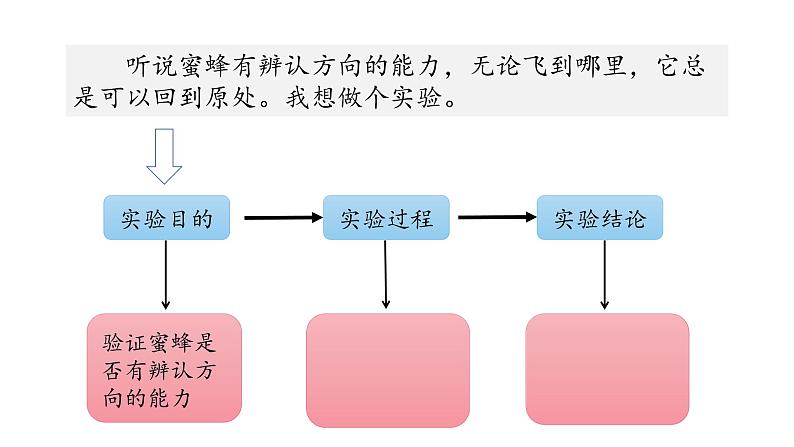 三下14 蜜蜂课件第8页