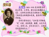 三下14蜜蜂课件