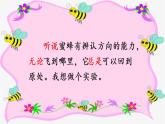 三下14蜜蜂课件