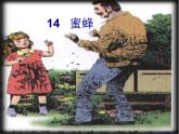 三下14蜜蜂课件