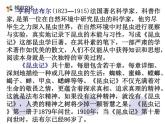三下14蜜蜂课件