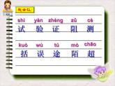 三下14蜜蜂课件