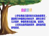 三下17 我变成了一棵树课件