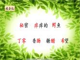 三下17 我变成了一棵树课件