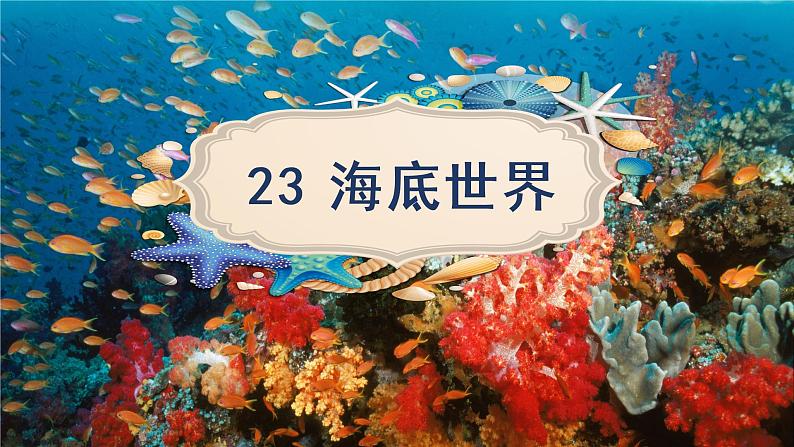 三下23《海底世界》课件第3页