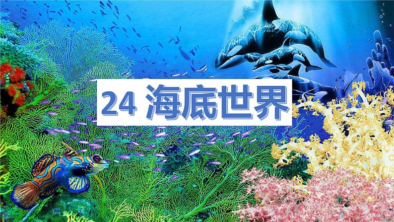 三下23海底世界课件第2页