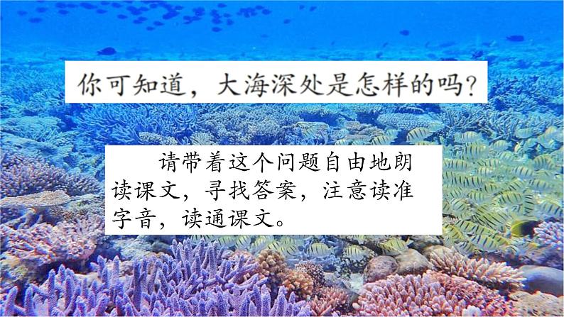 三下23海底世界课件第3页