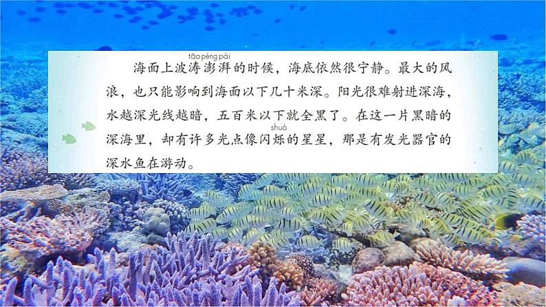 三下23海底世界课件第6页