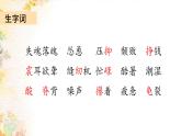 五上18 慈母情深课件