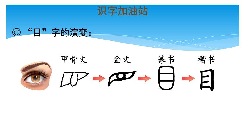 三年级上册语文部编版课件第八单元《语文园地八》  课件05