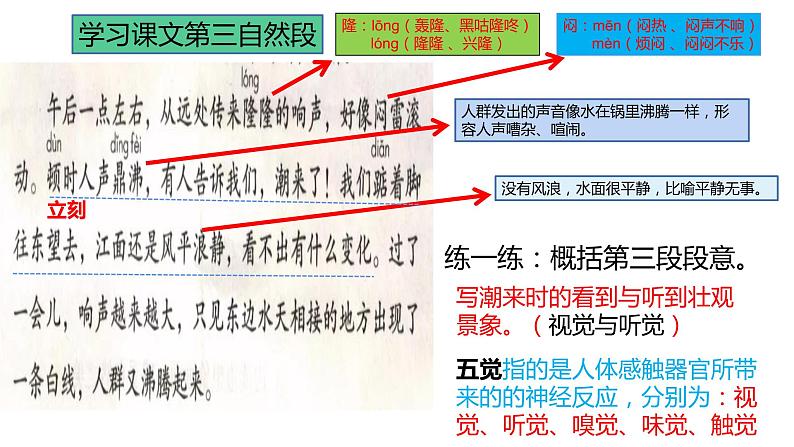 人教版（部编版）小学语文四年级上册 1.观潮  课件08