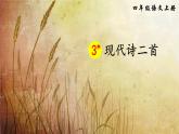 四年级上册语文部编版第3课现代诗两首《秋晚的江上》  课件