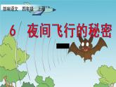 四年级上册语文人教部编版 6.夜间飞行的秘密  课件