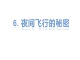 四年级上册语文人教部编版 6.夜间飞行的秘密  课件