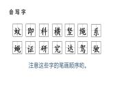 四年级上册语文人教部编版 6.夜间飞行的秘密  课件