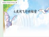 四年级上册语文人教部编版 6.夜间飞行的秘密  课件