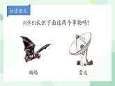 四年级上册语文人教部编版 6.夜间飞行的秘密  课件