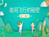 四年级上册语文人教部编版 6.夜间飞行的秘密  课件