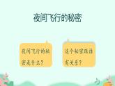 四年级上册语文人教部编版 6.夜间飞行的秘密  课件