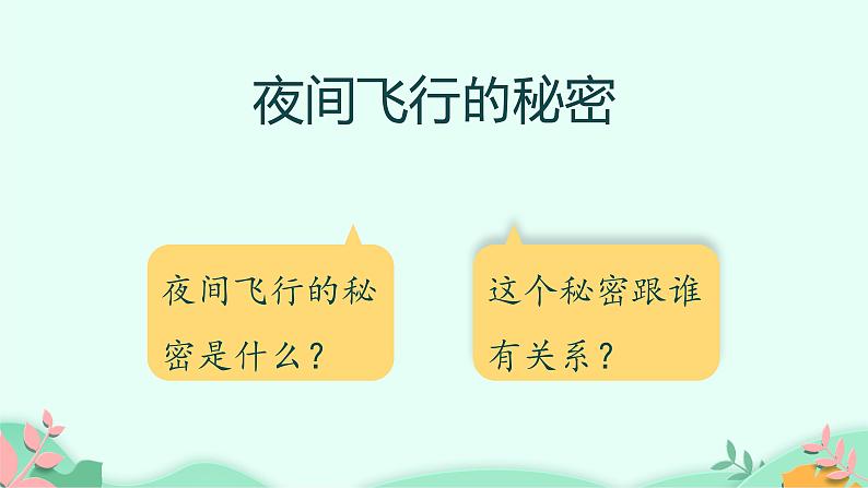 四年级上册语文人教部编版 6.夜间飞行的秘密  课件第5页