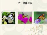 四年级上册语文人教部编版 8.蝴蝶的家  课件