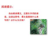 四年级上册语文人教部编版 8.蝴蝶的家  课件
