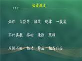 统编5年级语文上册 第七单元 23 鸟的天堂 PPT课件+教案