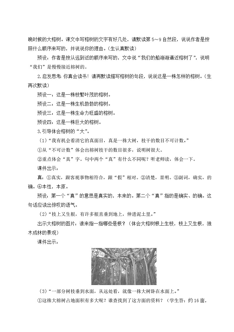 统编5年级语文上册 第七单元 23 鸟的天堂 PPT课件+教案03