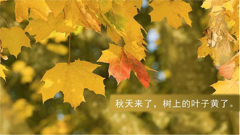 小学语文一年级上册（教学课件）课文1  秋天第4页