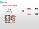 四年級(jí)上冊(cè)語(yǔ)文人教部編版 9.古詩(shī)三首《雪梅》  課件