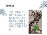 四年级上册语文人教部编版 9.古诗三首《雪梅》  课件