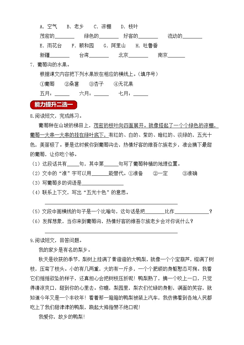 【新课标】部编版二年级语文上册分层作业设计-11.葡萄沟（含答案）第2页