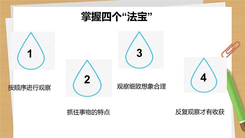 四年级上册语文人教部编版 10.爬山虎的脚  课件03