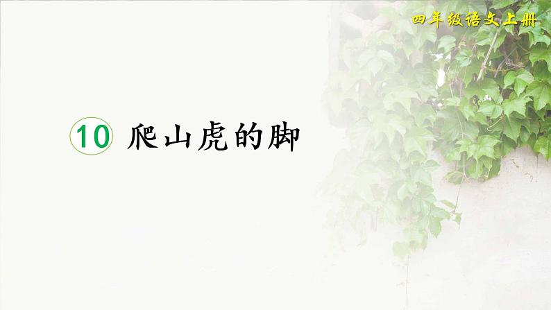 四年级上册语文人教部编版 10.爬山虎的脚  课件01