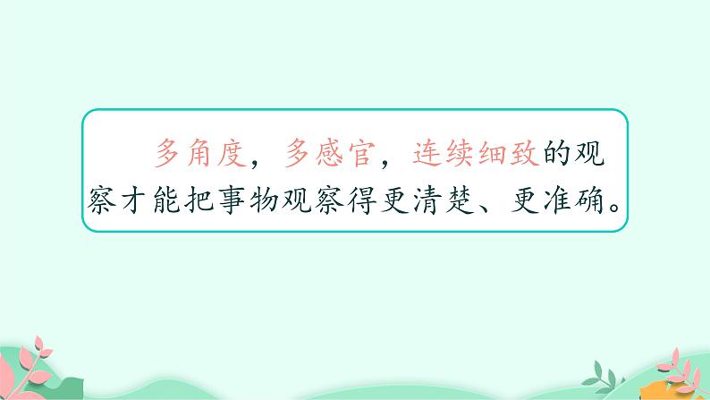 四年级上册语文人教部编版 习作：写观察日记  课件08