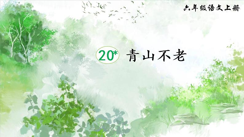 【确定】20 青山不老（课件）06