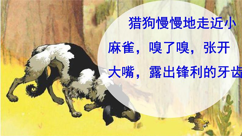 四年级上册语文人教部编版 16.麻雀  课件07