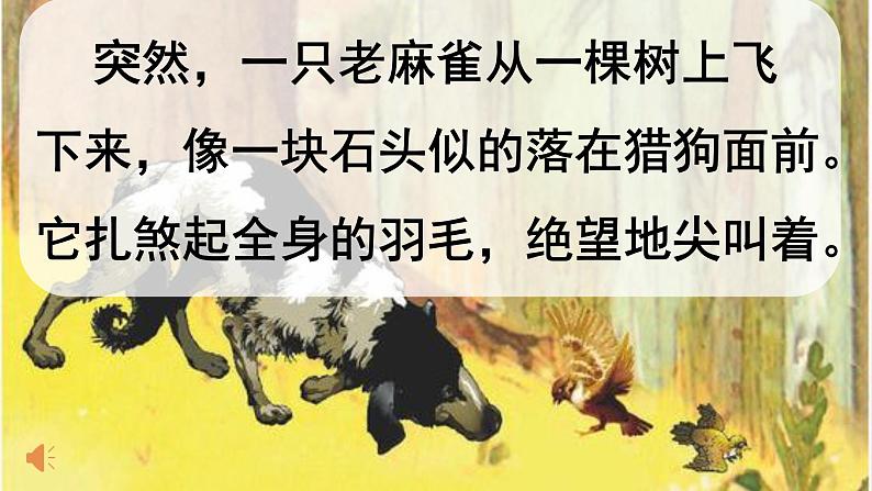 四年级上册语文人教部编版 16.麻雀  课件08