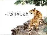四年级上册语文人教部编版 19.一只窝囊的大老虎  课件